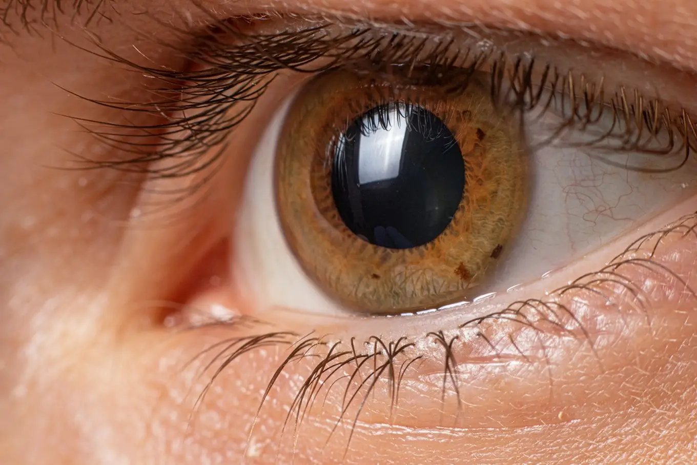 Zdjęcia dna oka - klucz do zdrowia oczu